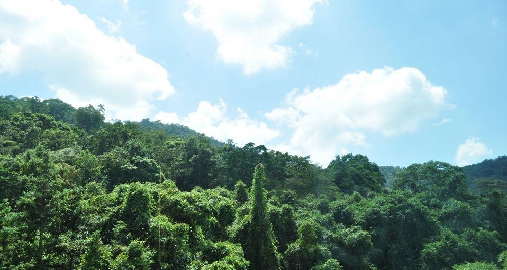 Cherry Feast Resort Yuchi Bagian luar foto